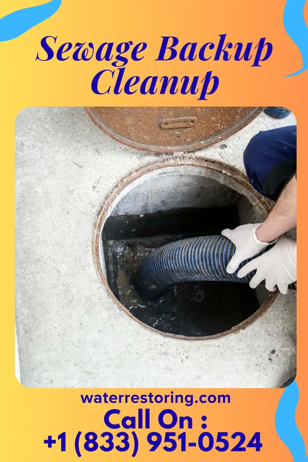 Sewage Backup Cleanup in Unionville, NC