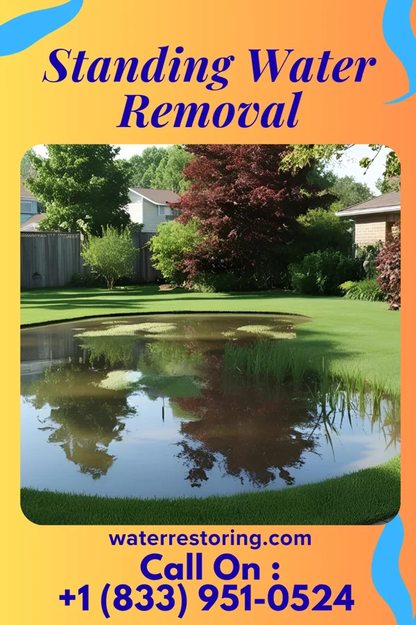 Standing Water Removal in Unionville, NC